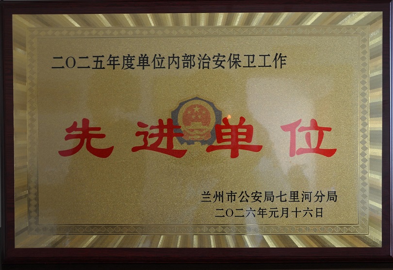 2025年度单位内部治安保卫工作·先进单